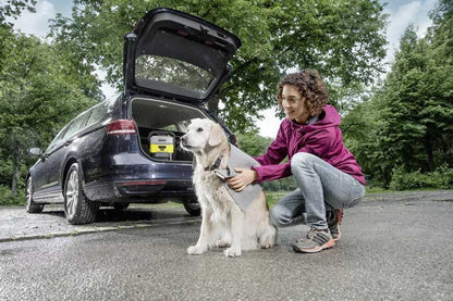 Karcher Mobile Outdoor Cleaner OC 3 + Pet Box